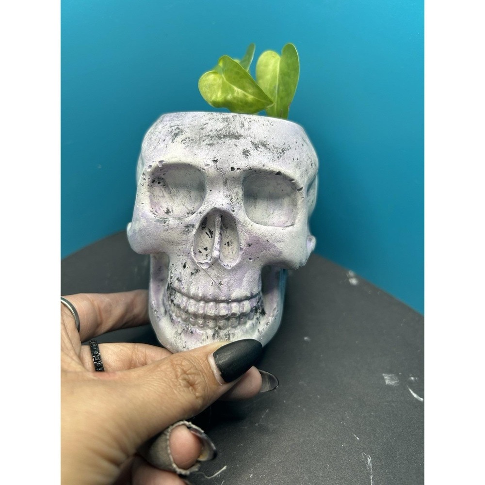 Skull Concrete Planter Lilac – Handmade Cement Succulent Plant Pot, Handmade - Picture 5 of 9